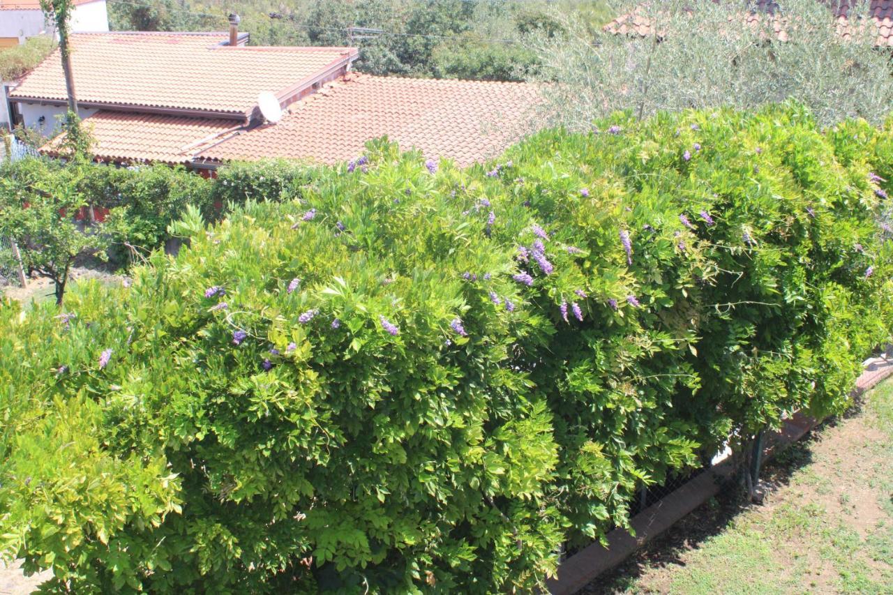 Villa Sicilia Apartment كاتانيا المظهر الخارجي الصورة